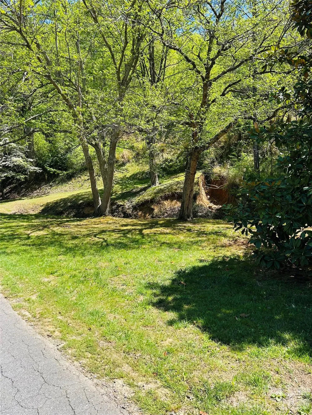 128 W Orchard Street Old Fort, NC 28762