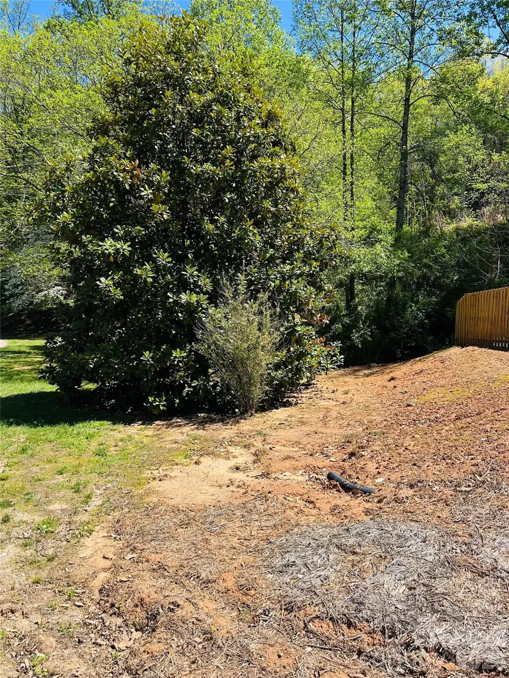 128 W Orchard Street Old Fort, NC 28762