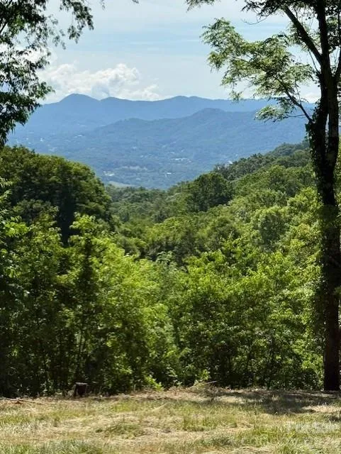 #38 Sleepy Hollow Drive Waynesville, NC 28785