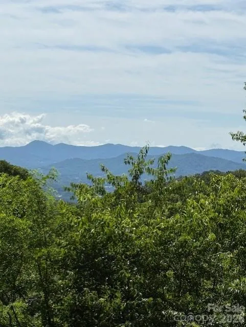 #38 Sleepy Hollow Drive Waynesville, NC 28785