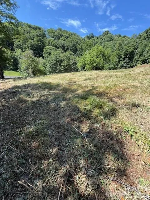 #38 Sleepy Hollow Drive Waynesville, NC 28785