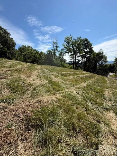 #38 Sleepy Hollow Drive Waynesville, NC 28785