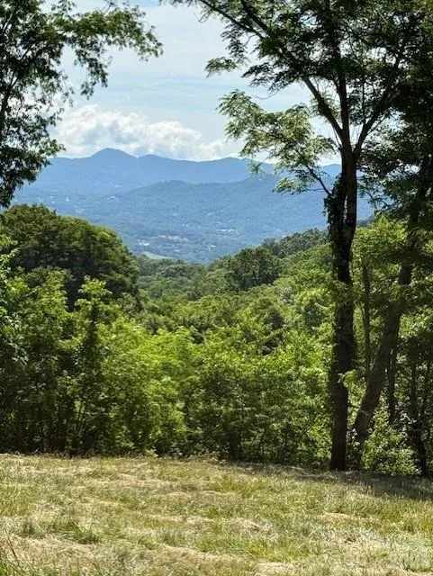 #38 Sleepy Hollow Drive Waynesville, NC 28785