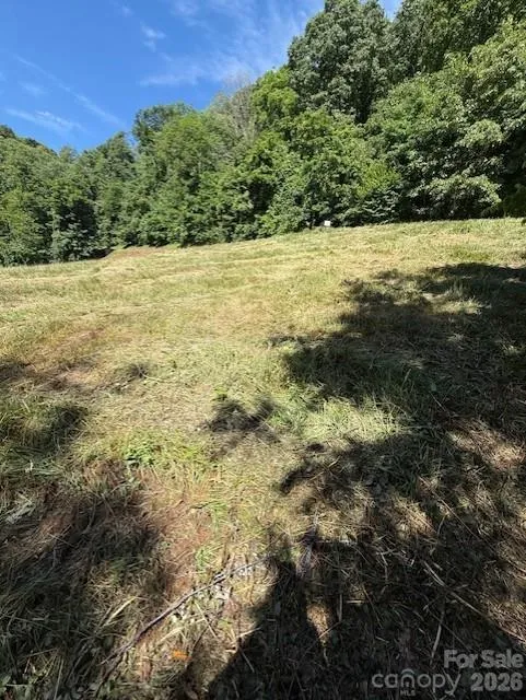 #38 Sleepy Hollow Drive Waynesville, NC 28785