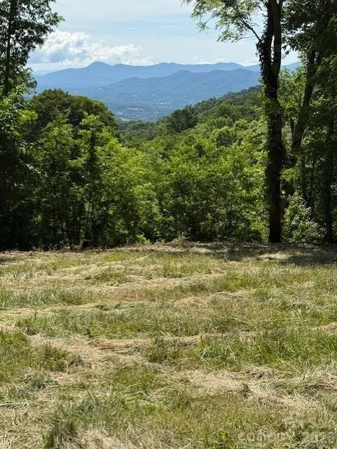 #38 Sleepy Hollow Drive Waynesville, NC 28785