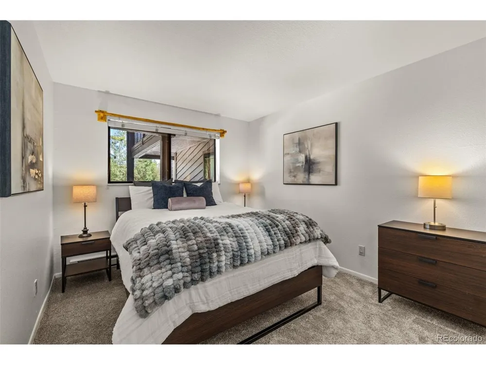 315 S 2nd Avenue #105 Frisco, CO 80443