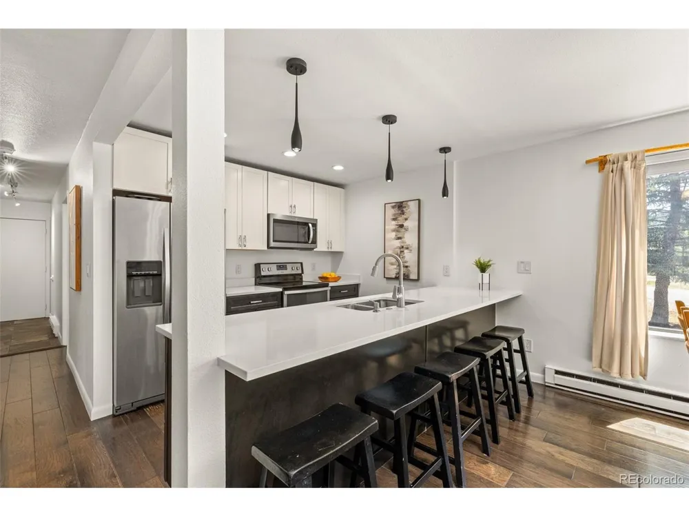 315 S 2nd Avenue #105 Frisco, CO 80443