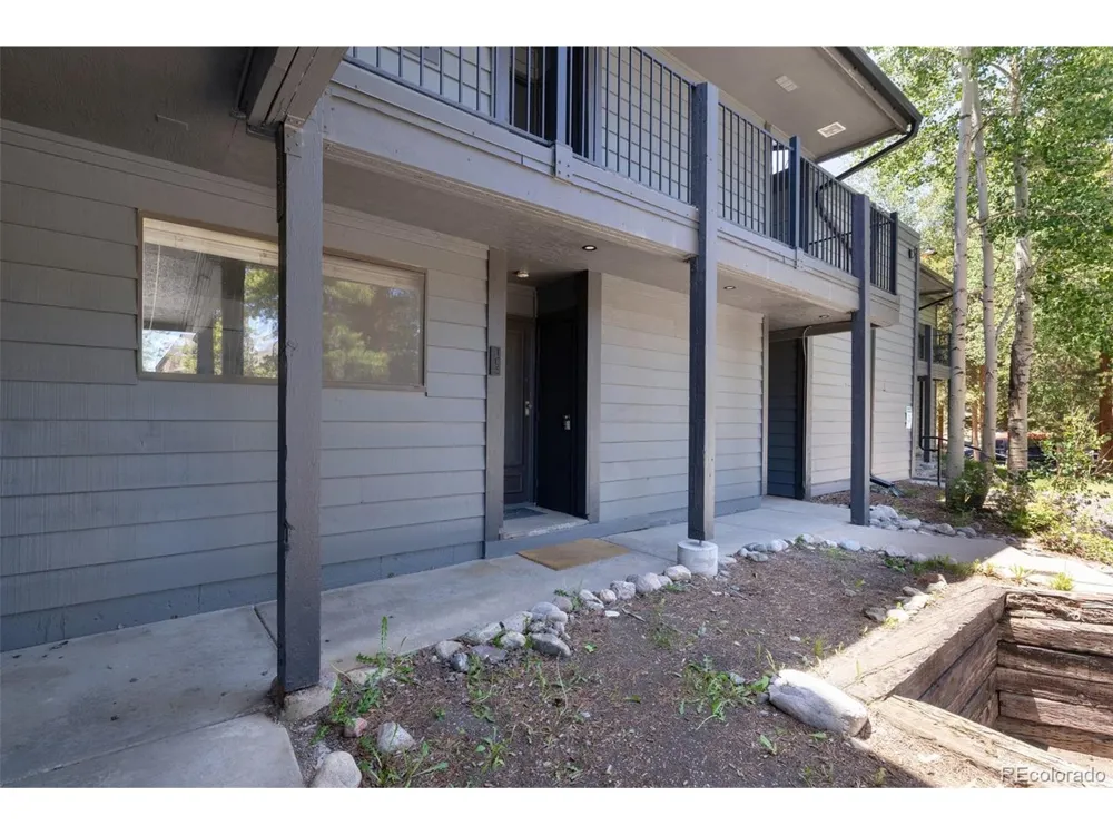 315 S 2nd Avenue #105 Frisco, CO 80443