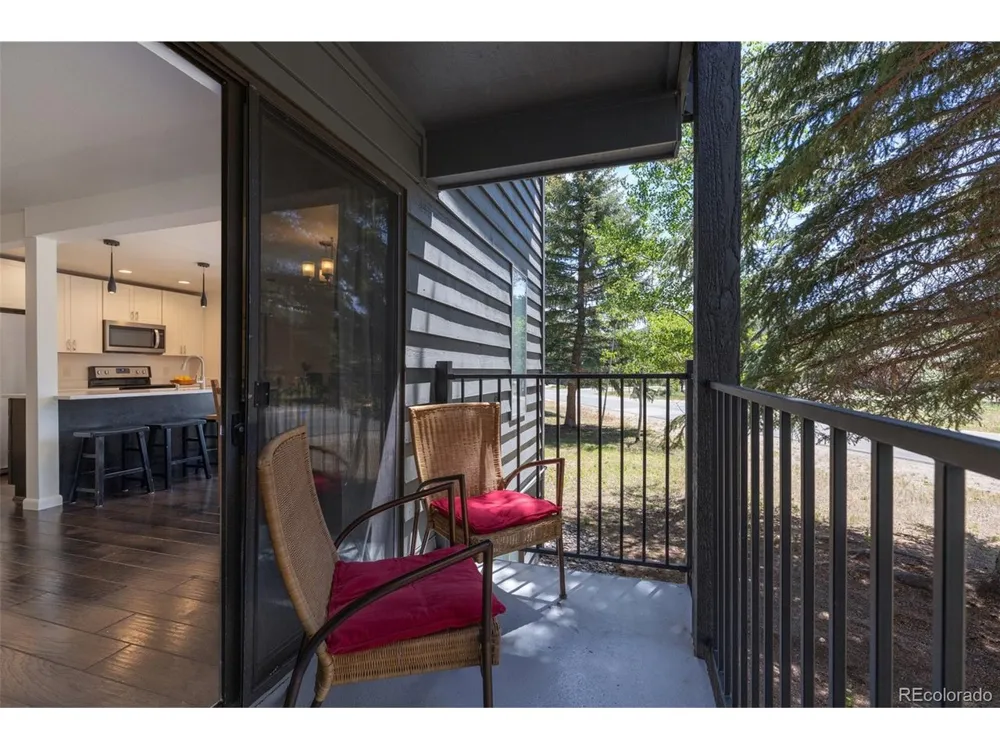 315 S 2nd Avenue #105 Frisco, CO 80443