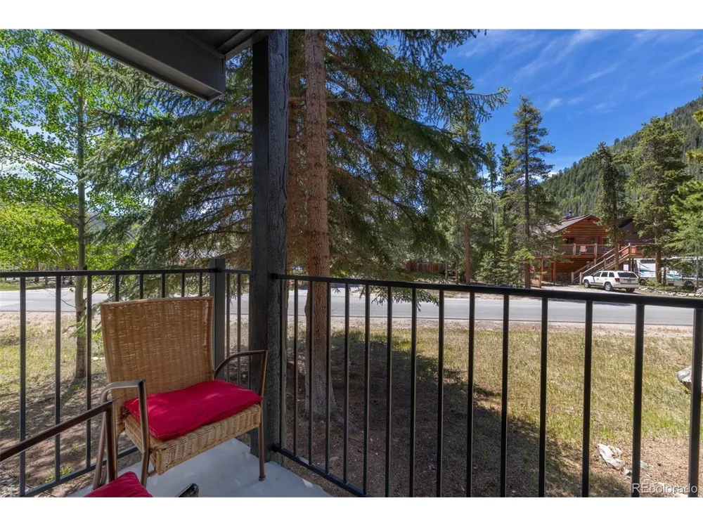 315 S 2nd Avenue #105 Frisco, CO 80443