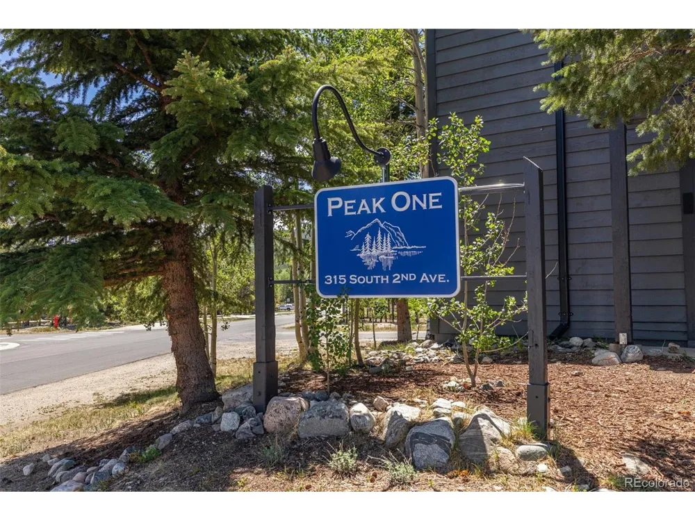 315 S 2nd Avenue #105 Frisco, CO 80443