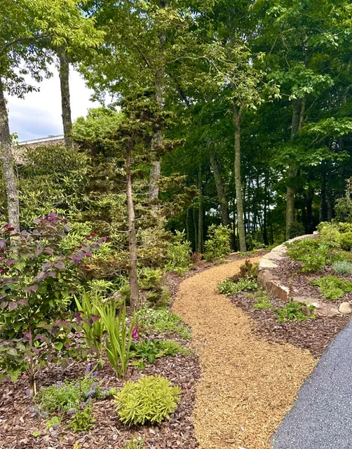 87 Tiger Paw Lane Sapphire, NC 28774