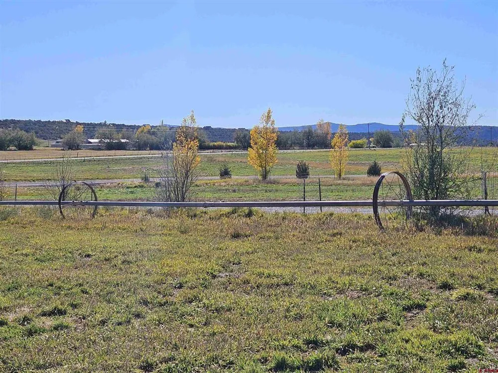 298 Moon River Drive Durango, CO 81303