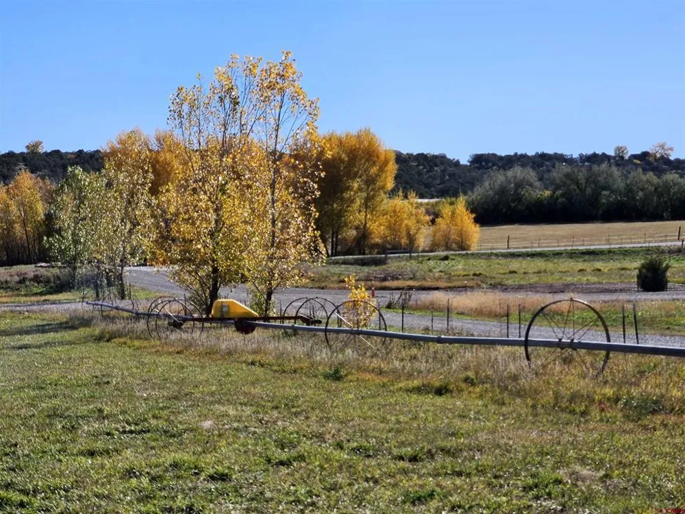 298 Moon River Drive Durango, CO 81303