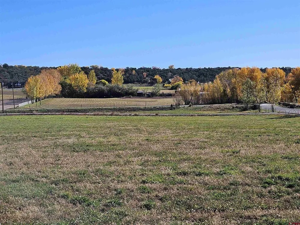 298 Moon River Drive Durango, CO 81303