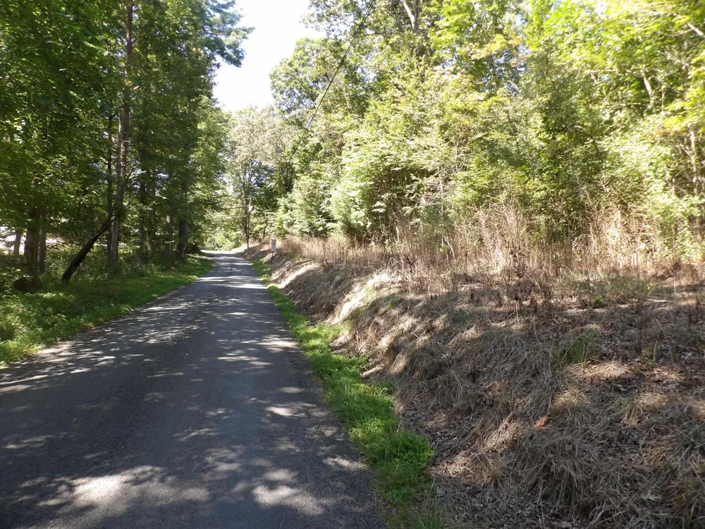 100 Summer City Road Evensville, TN 37332