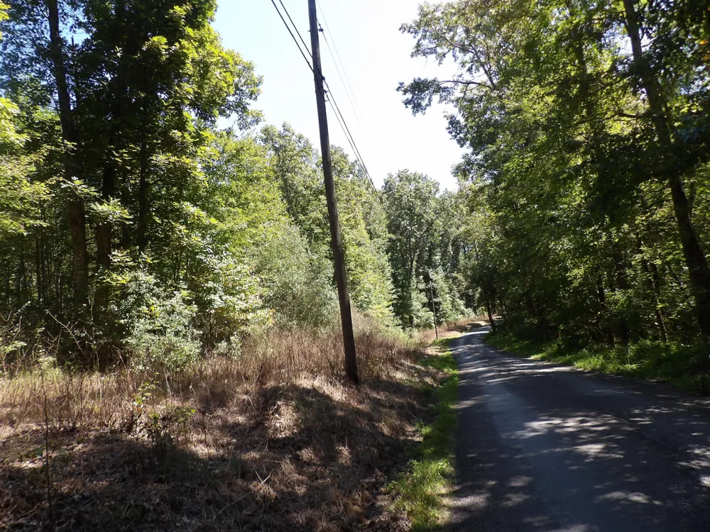 100 Summer City Road Evensville, TN 37332