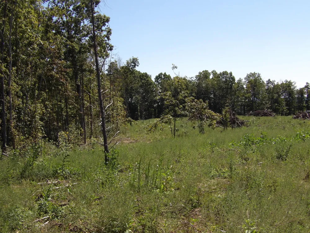 100 Summer City Road Evensville, TN 37332
