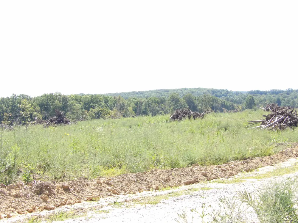 100 Summer City Road Evensville, TN 37332