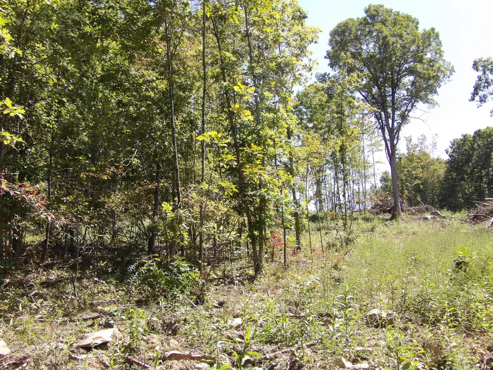 100 Summer City Road Evensville, TN 37332