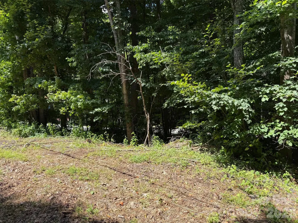 0 Serenity Mountain Road #108 Waynesville, NC 28786