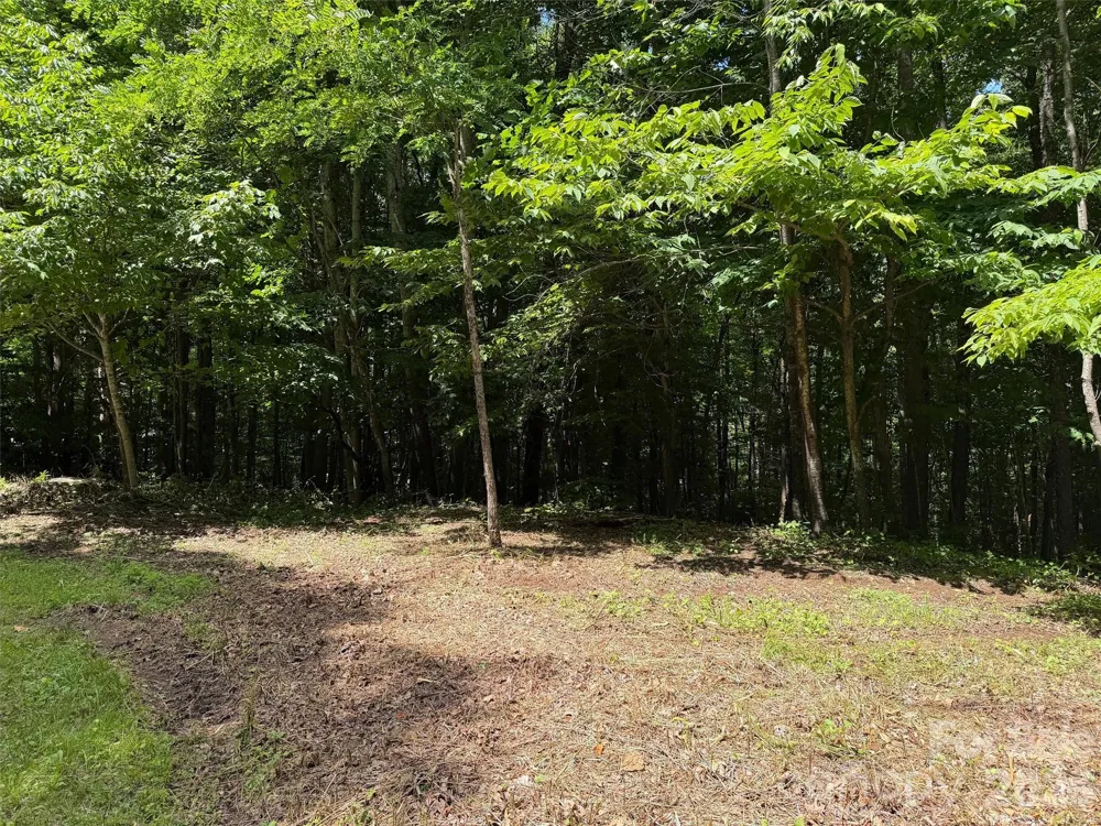 0 Serenity Mountain Road #108 Waynesville, NC 28786