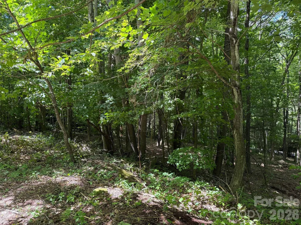 0 Serenity Mountain Road #108 Waynesville, NC 28786