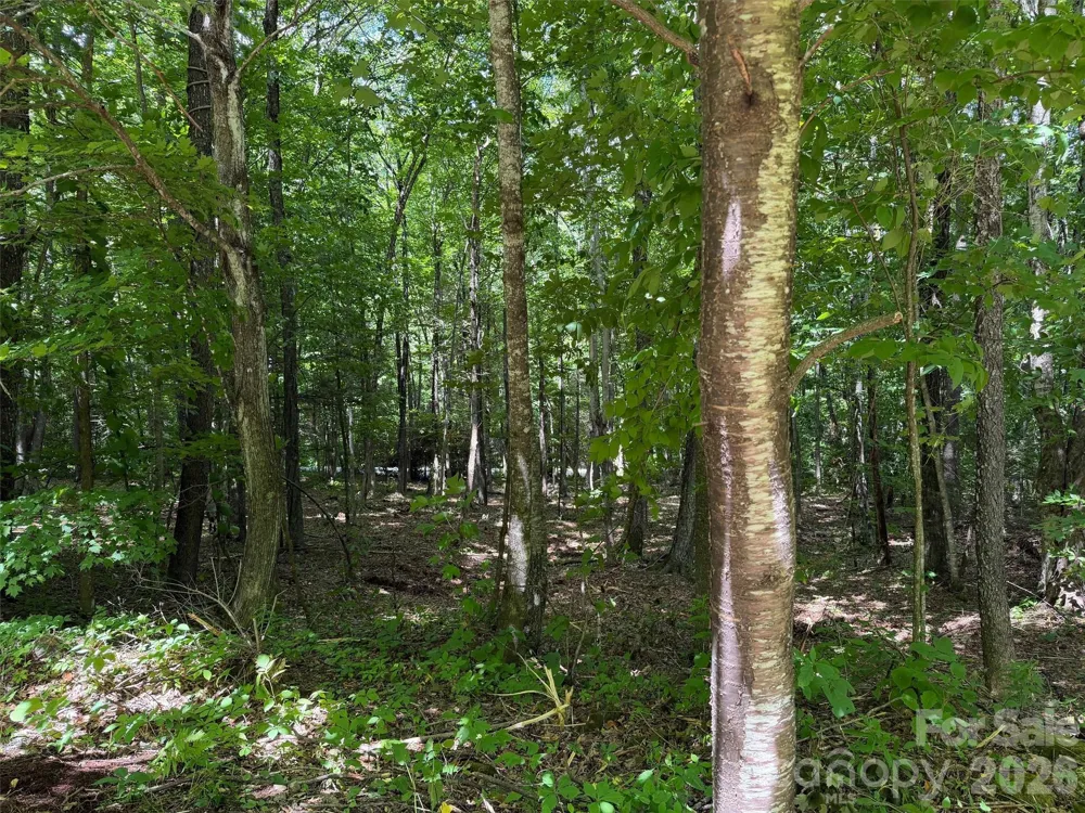 0 Serenity Mountain Road #108 Waynesville, NC 28786