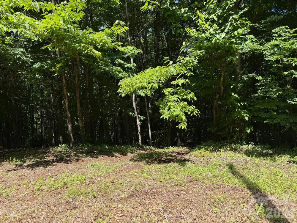 0 Serenity Mountain Road #108 Waynesville, NC 28786
