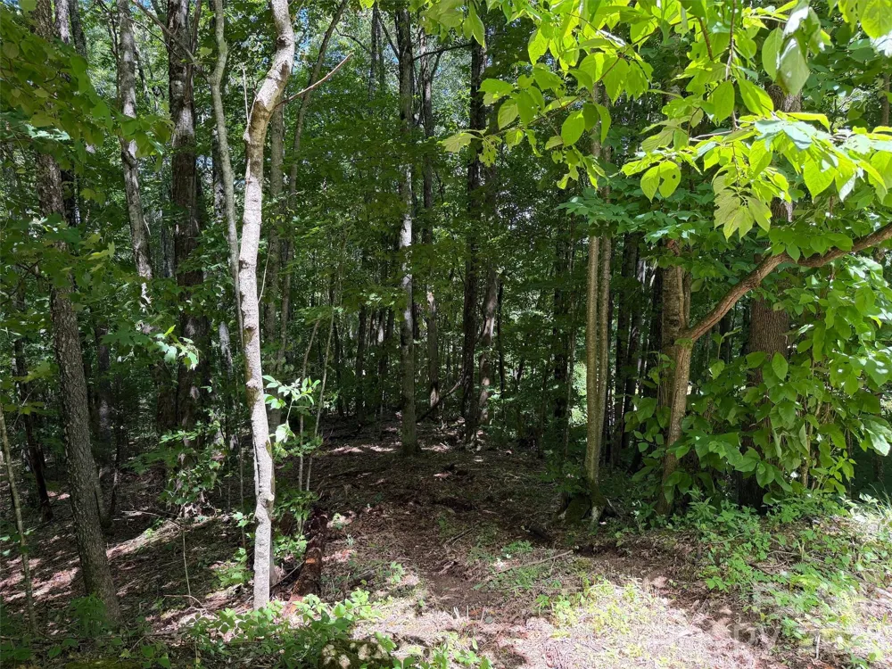 0 Serenity Mountain Road #108 Waynesville, NC 28786