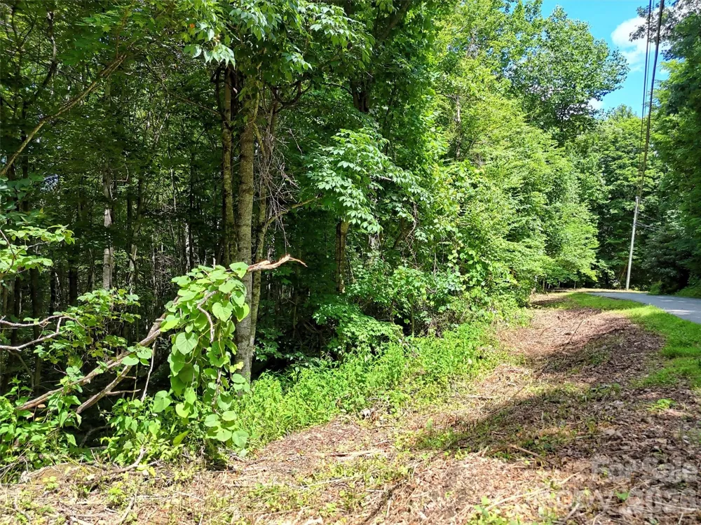 0 Serenity Mountain Road #108 Waynesville, NC 28786