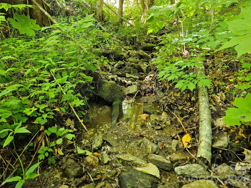 0 Serenity Mountain Road #108 Waynesville, NC 28786