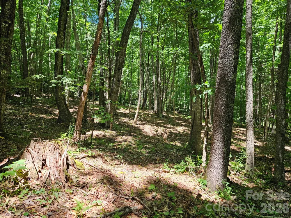 0 Serenity Mountain Road #108 Waynesville, NC 28786