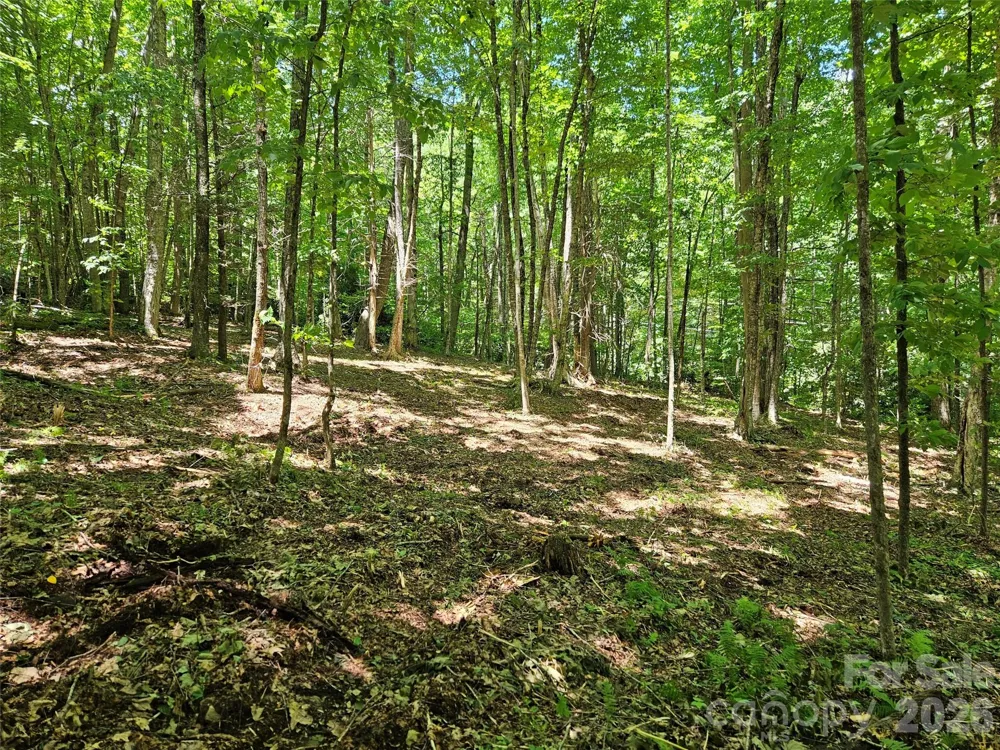 0 Serenity Mountain Road #108 Waynesville, NC 28786