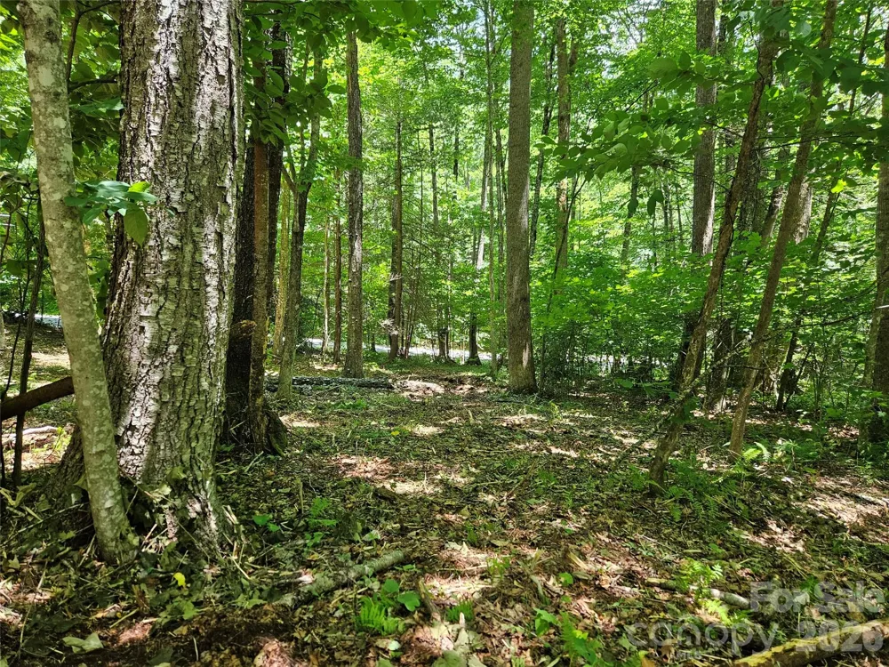 0 Serenity Mountain Road #108 Waynesville, NC 28786