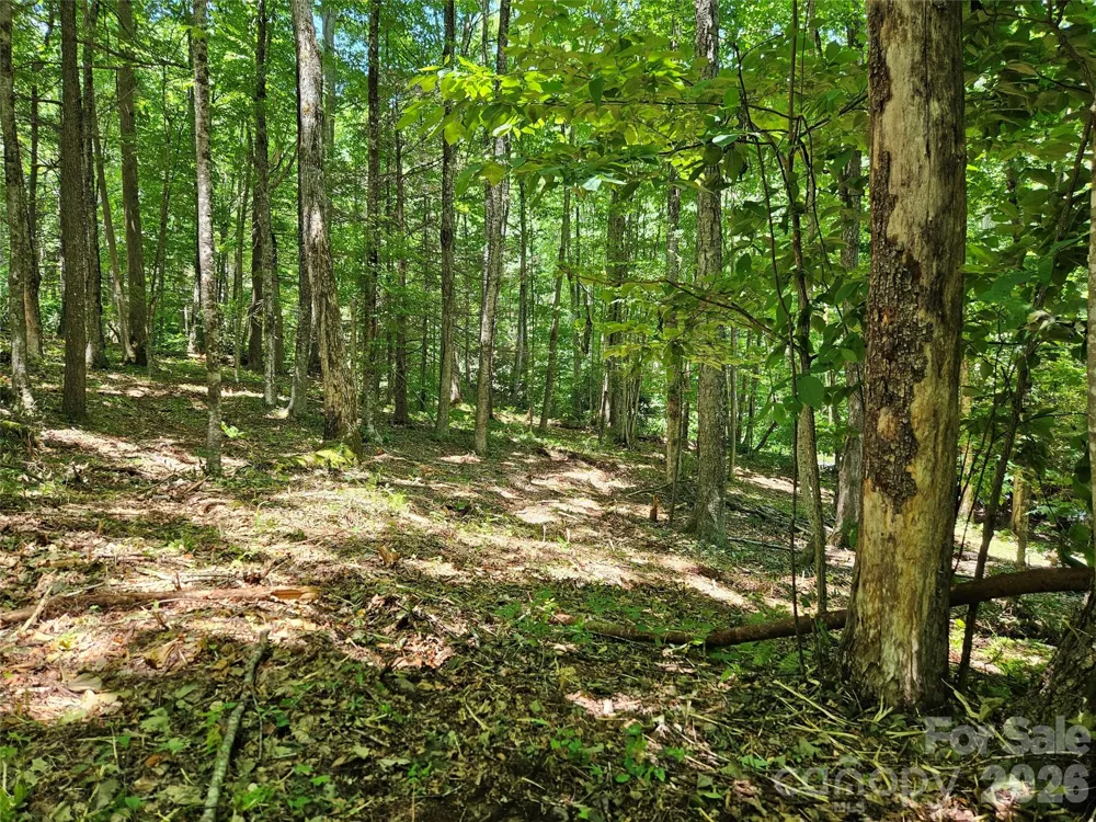 0 Serenity Mountain Road #108 Waynesville, NC 28786