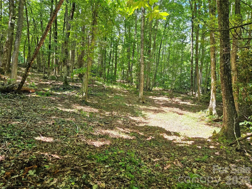0 Serenity Mountain Road #108 Waynesville, NC 28786