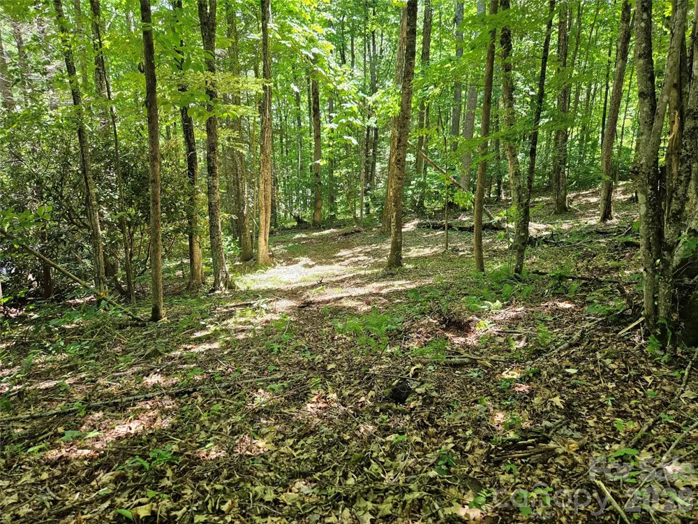 0 Serenity Mountain Road #108 Waynesville, NC 28786