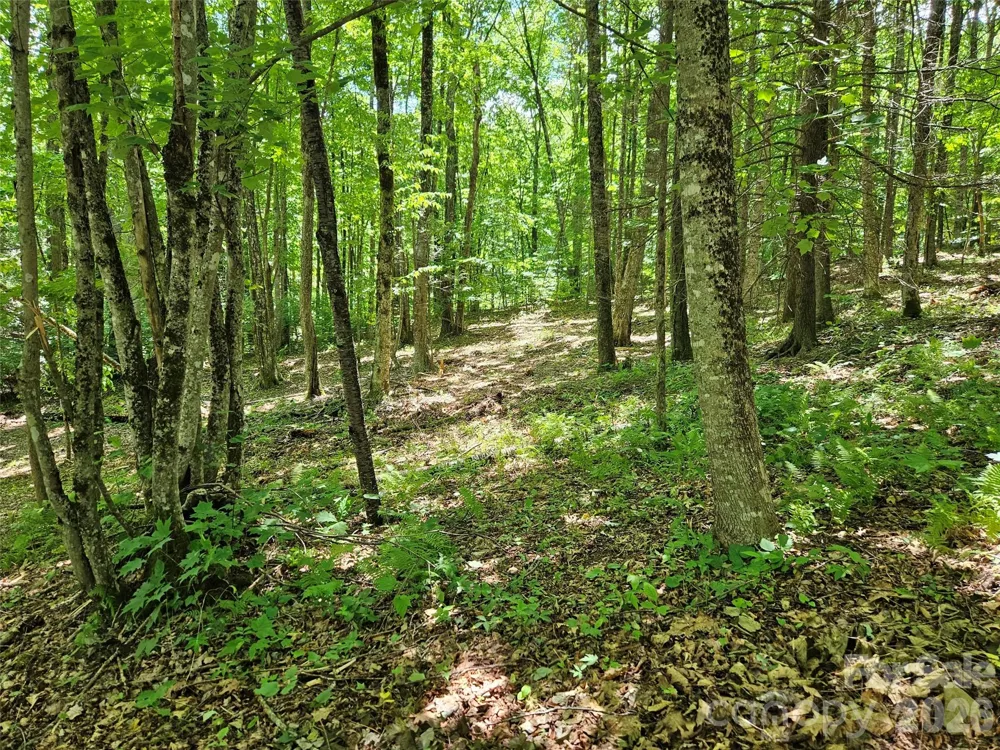 0 Serenity Mountain Road #108 Waynesville, NC 28786