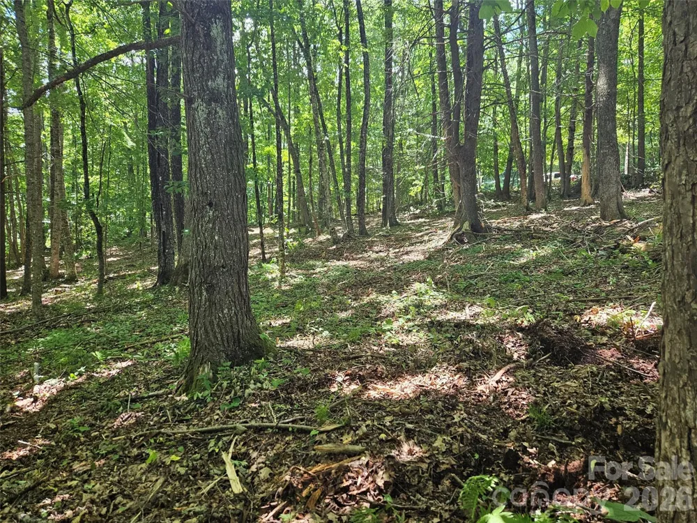 0 Serenity Mountain Road #108 Waynesville, NC 28786