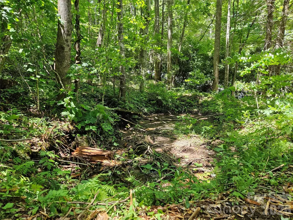 0 Serenity Mountain Road #108 Waynesville, NC 28786