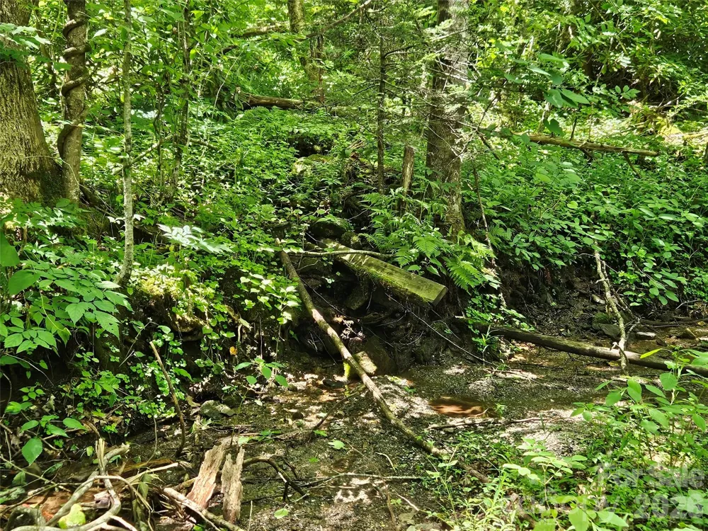 0 Serenity Mountain Road #108 Waynesville, NC 28786