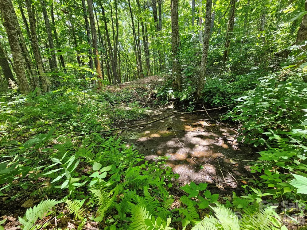 0 Serenity Mountain Road #108 Waynesville, NC 28786