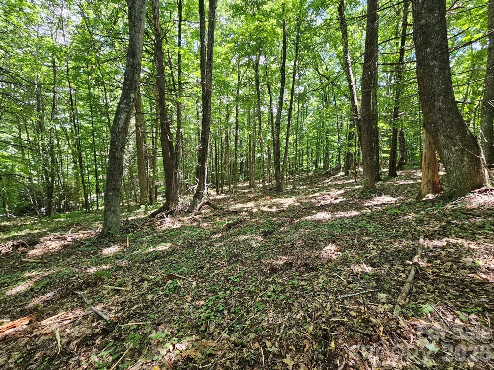 0 Serenity Mountain Road #108 Waynesville, NC 28786