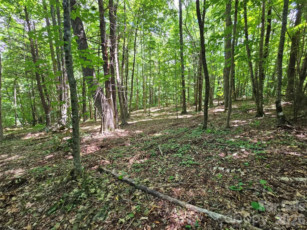 0 Serenity Mountain Road #108 Waynesville, NC 28786