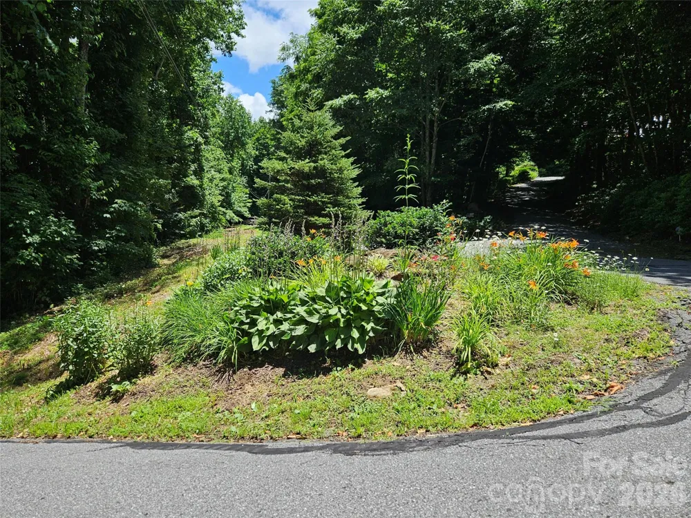 0 Serenity Mountain Road #108 Waynesville, NC 28786