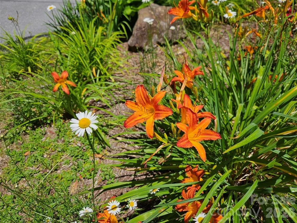 0 Serenity Mountain Road #108 Waynesville, NC 28786
