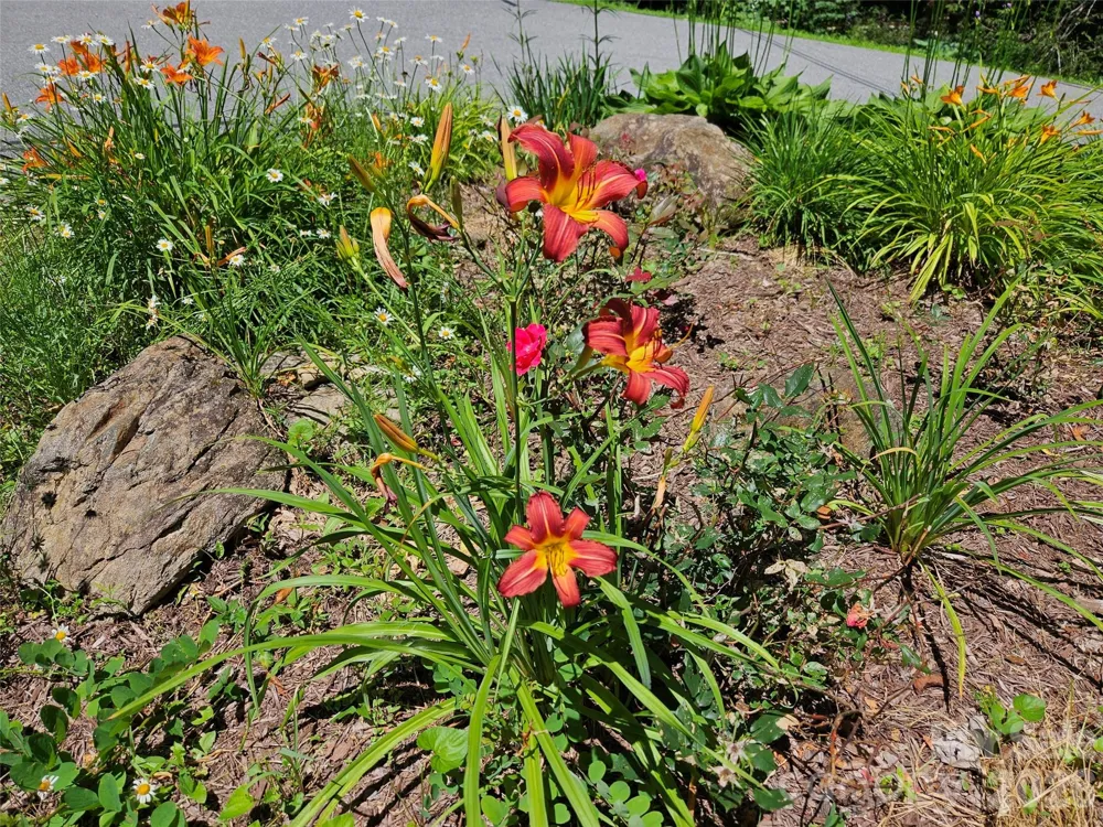 0 Serenity Mountain Road #108 Waynesville, NC 28786