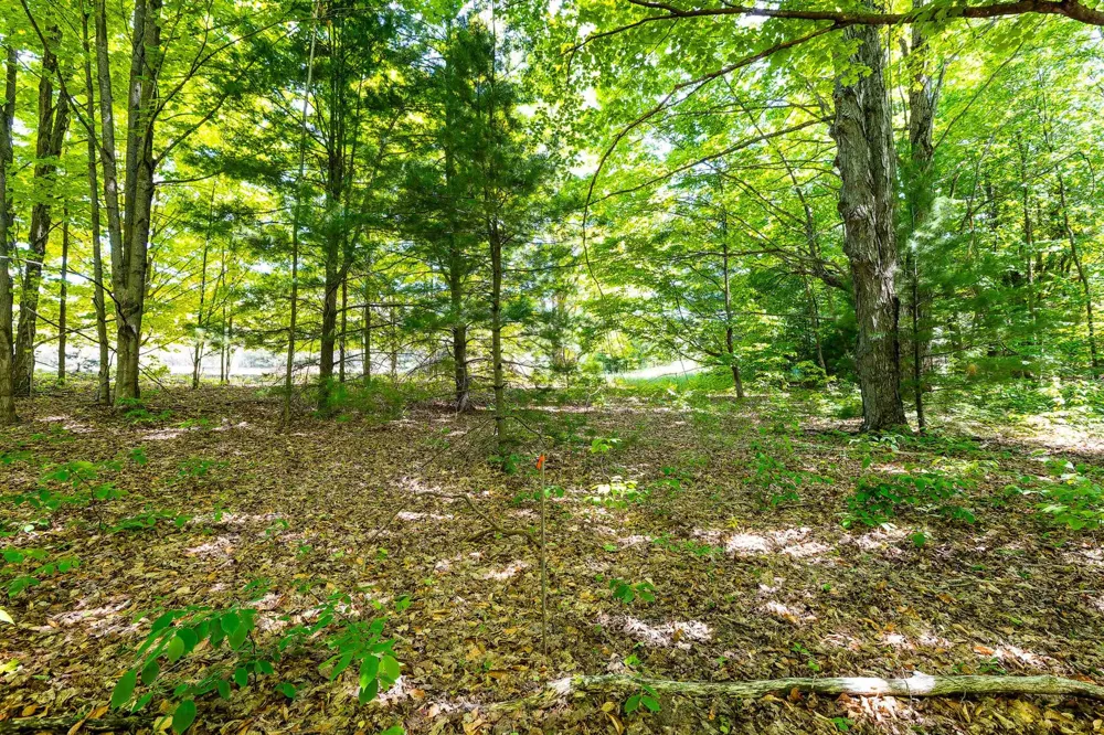 7764 S Weldon Road Weldon Township, MI 49683