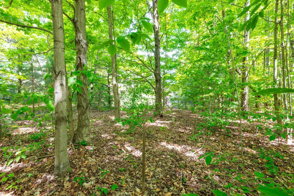 7764 S Weldon Road Weldon Township, MI 49683